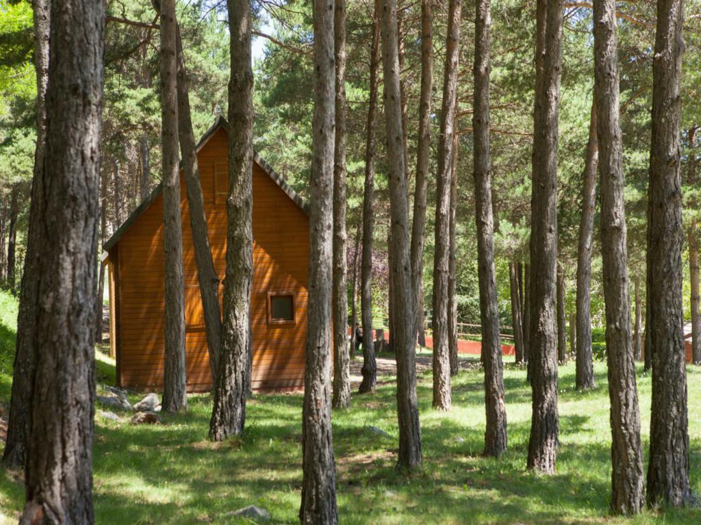 Camping Fontfreda Castellar del Riu Dış mekan fotoğraf